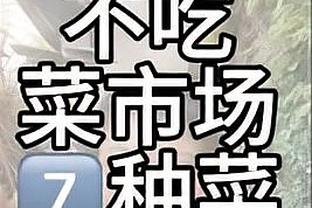 开云app官方版最新下载安卓版